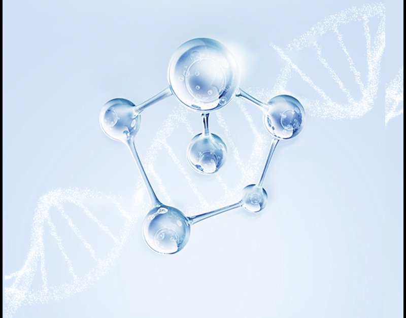 技术服务在生物技术领域涵盖了哪些具体内容？