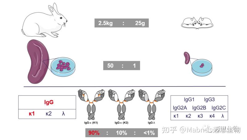 生物医药研发动态：行业趋势与技术创新