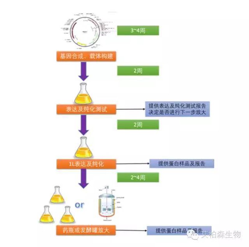 生物制品涵盖哪些药品？